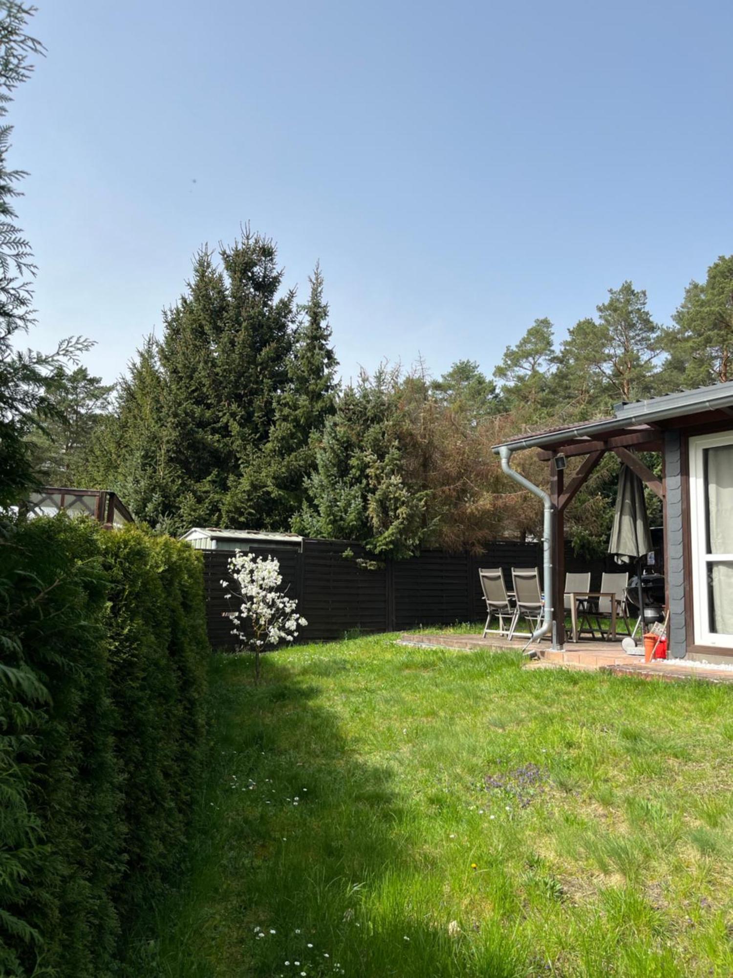Ferienhaus Fjola Schenkendobern المظهر الخارجي الصورة